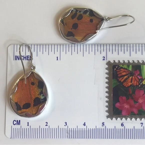 Real Butterfly Wing Earrings Sterling Silver Handmade Jewelry Oval Teardrop - Picture 5 of 9